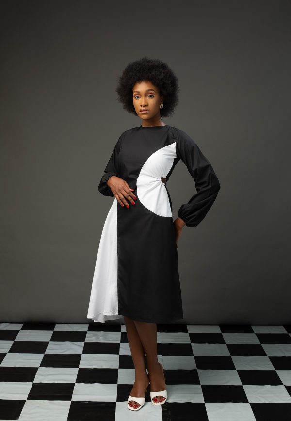 Double Tone Shirt Dress